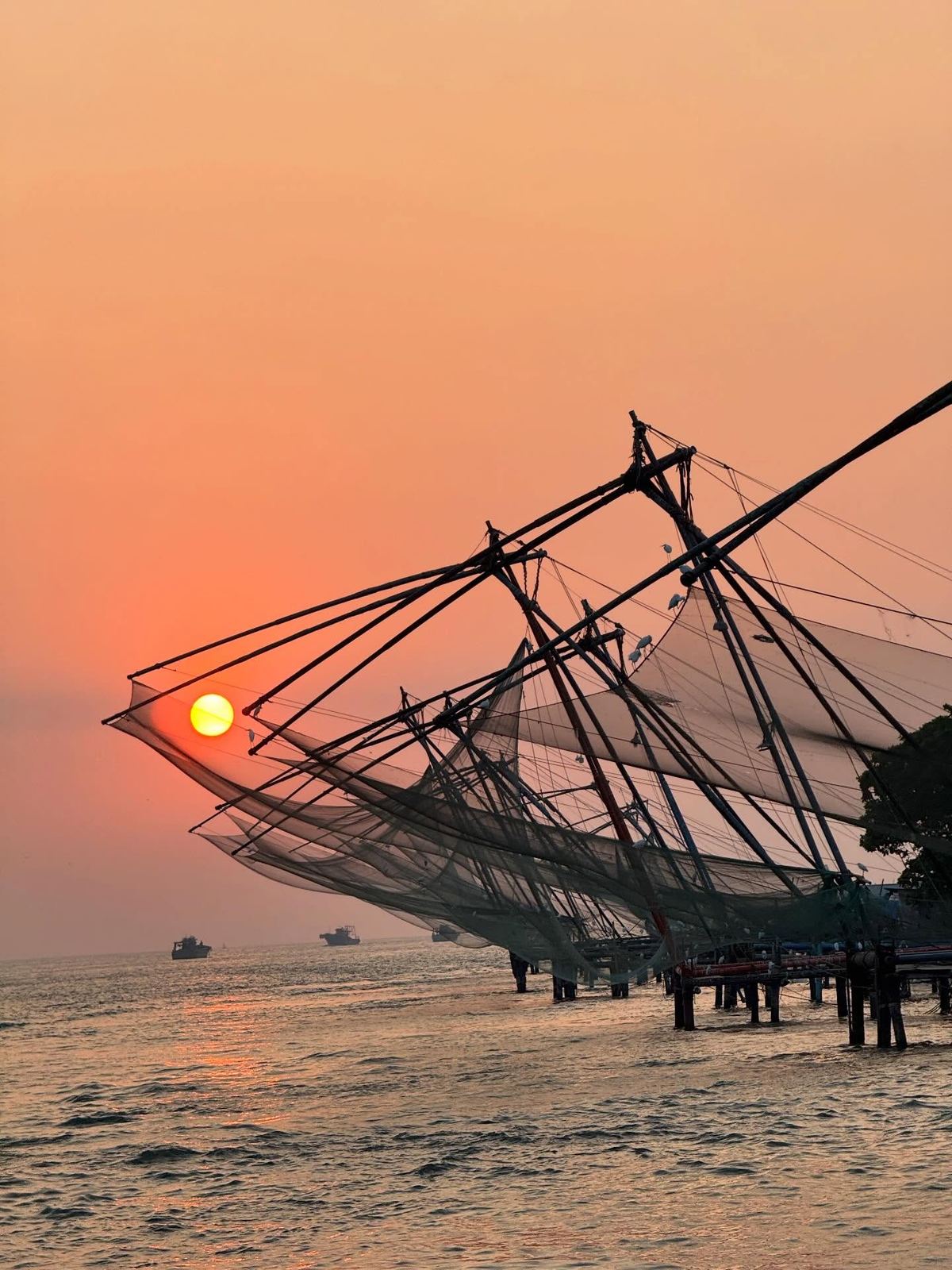 Chinese fishing nets at sunset in Fort Kochi, Kerala