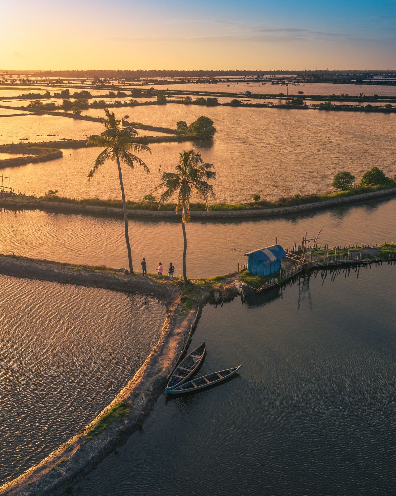 Aerial view of the Kumarakom backwater canals at sunset, Kerala
