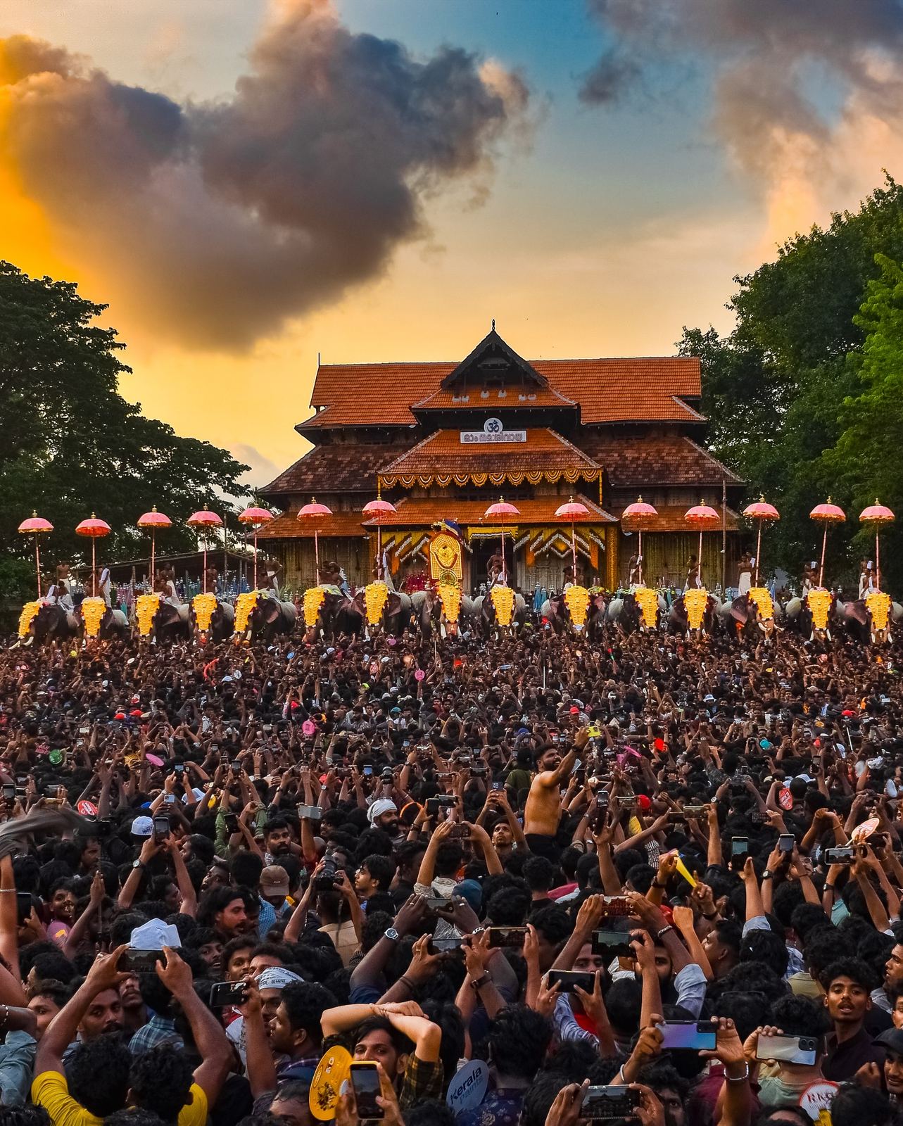 Elephants and crowds at the Thrissur Pooram festival, Kerala