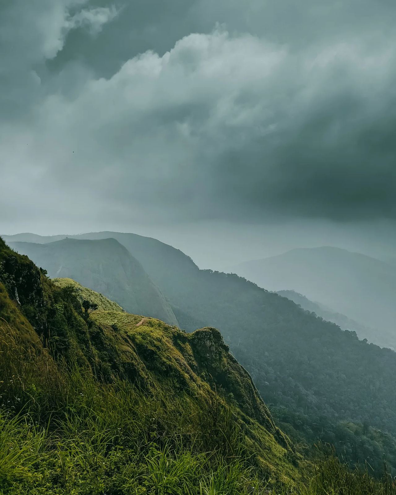 Misty green meadows in Vagamon, Kerala